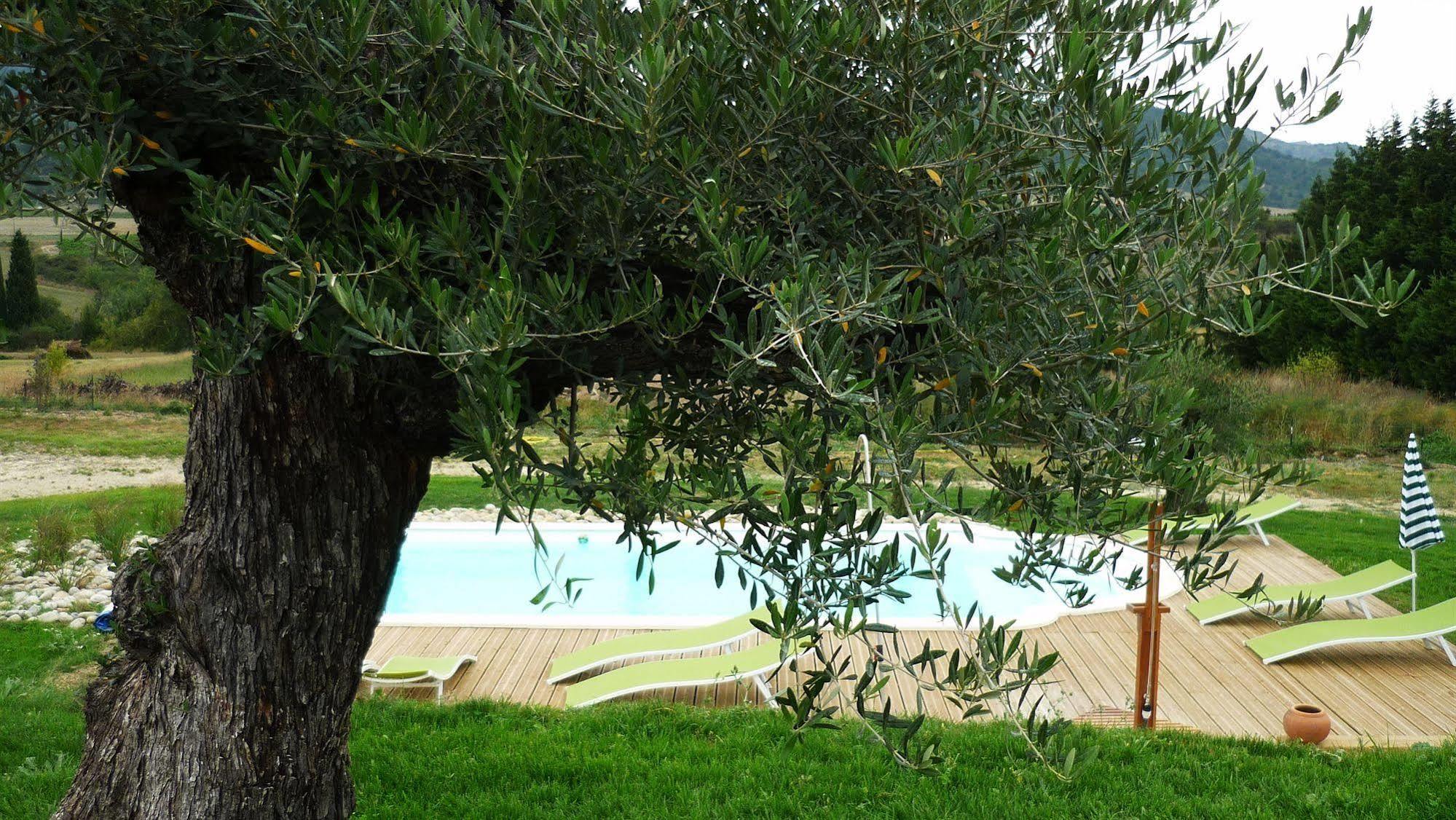 Relais De L'Alsou- Piscine Labastide-en-Val Exterior foto
